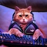 Meowshop
