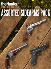 

TheHunter: Call of the Wild - Assorted Sidearms Pack (PC) - Steam Key - GLOBAL