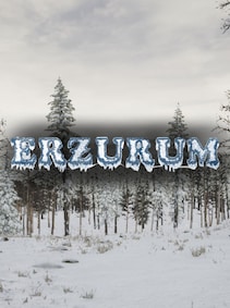 Erzurum (PC) - Steam Gift - GLOBAL