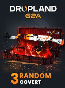 

Counter Strike 2 RANDOM 3 CASE COVERT SKIN - BY DROPLAND.NET Key - GLOBAL