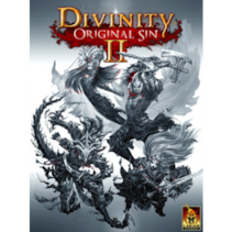 

Divinity: Original Sin 2 - Divine Edition Steam Key GLOBAL