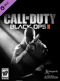 

Call of Duty: Black Ops II - Graffiti Personalization Pack Steam Gift GLOBAL