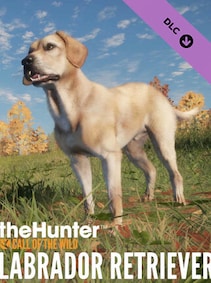 

theHunter: Call of the Wild - Labrador Retriever (PC) - Steam Gift - GLOBAL