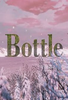 Bottle Steam Key GLOBAL