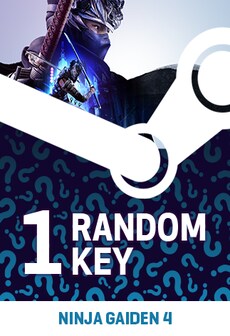 Try to Get NINJA GAIDEN 4 - Random 1 Key (PC) - Steam Key - GLOBAL
