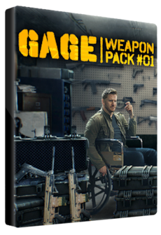 PAYDAY 2: Gage Weapon Pack #01 Steam Gift GLOBAL