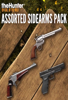 TheHunter: Call of the Wild - Assorted Sidearms Pack (PC) - Steam Key - GLOBAL