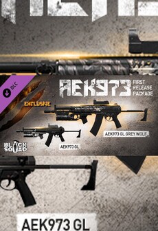 

Black Squad - AEK973 FIRST RELEASE PACKAGE Steam Gift GLOBAL