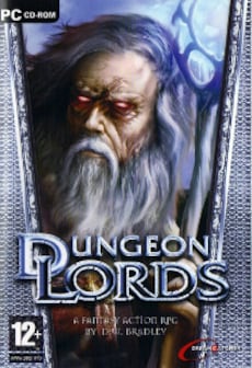 Image of Dungeon Lords Steam Edition Steam Key GLOBAL
