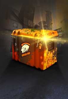 

Virtus.pro Case GLOBAL