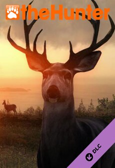 

theHunter : Trailrunner Starter Pack Key Steam GLOBAL