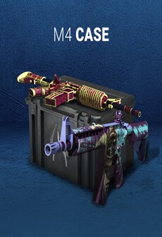 

M4 Case GLOBAL