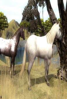 

Wildlife Park 2 - Horses Steam Key GLOBAL