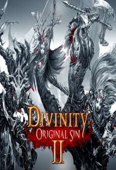 Image of Divinity: Original Sin 2 (PC) - Steam Account - GLOBAL