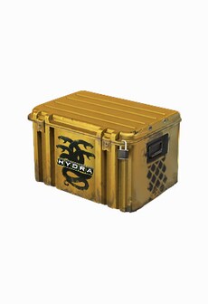 

Counter-Strike: Global Offensive Random Case - FORCE-DROP.COM Key - GLOBAL