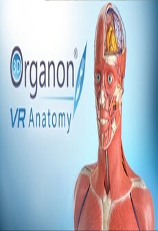 

3D Organon VR Anatomy Steam Gift GLOBAL