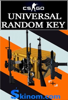 

Universal Random Key by Skinom.com Steam Gift GLOBAL