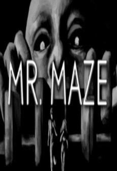 

Mr. Maze Steam Key GLOBAL