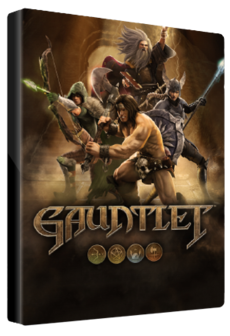 

Gauntlet Slayer Edition 4-Pack Steam Gift GLOBAL