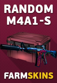 

Counter-Strike: Global Offensive RANDOM M4A1-S SKIN FARMSKINS.COM GLOBAL