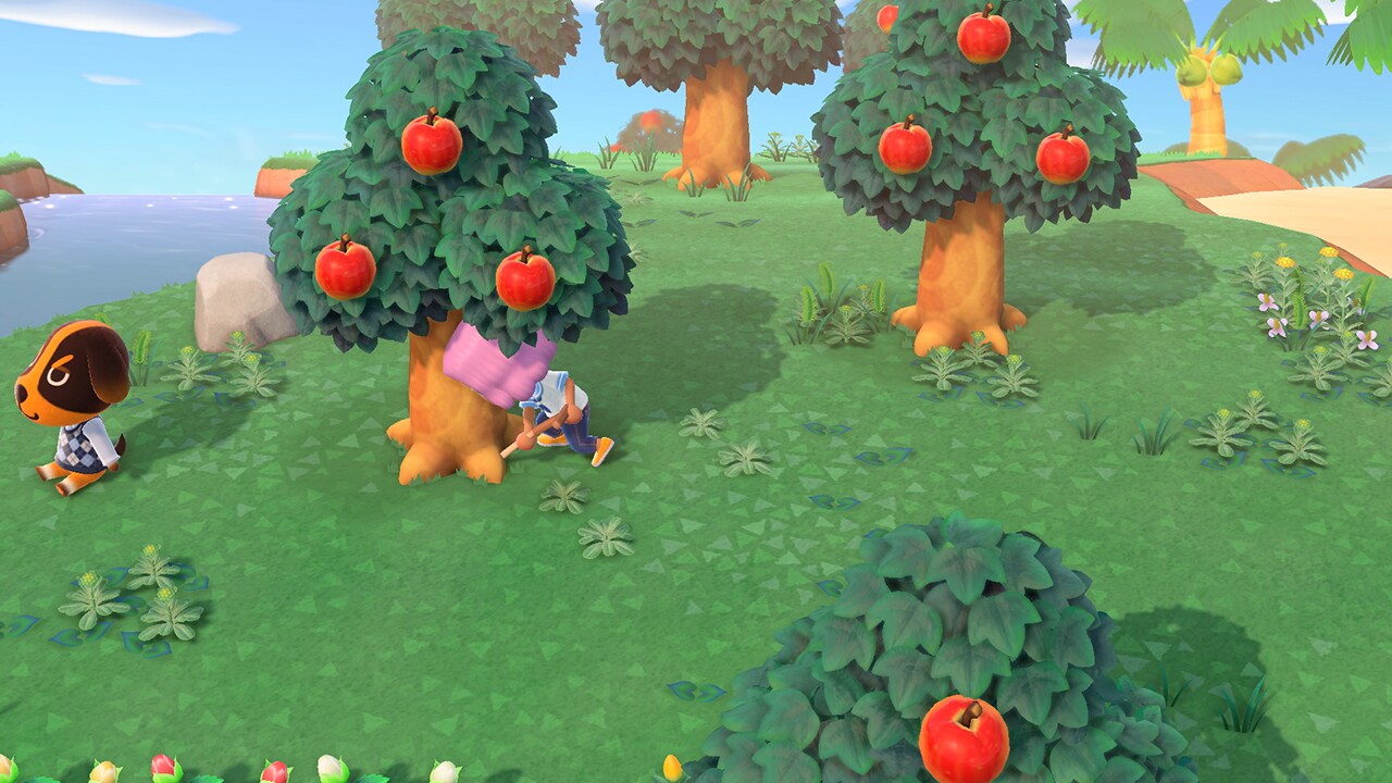 animal crossing new horizons game key