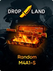 Counter Strike 2 RANDOM M4A1-S SKIN - BY DROPLAND.NET Key - GLOBAL