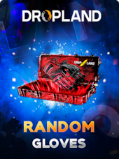 Counter-Strike: Global Offensive RANDOM GLOVES SKIN - BY DROPLAND.NET Key - GLOBAL