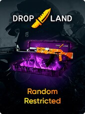 Counter-Strike: Global Offensive RANDOM RESTRICTED SKIN BY DROPLAND.NET - Key - GLOBAL