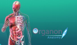 3D Organon VR Anatomy Steam Gift EUROPE