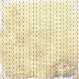 Dry-erase RPG mat 50x50 - Papyrus 1 (hexagonal)