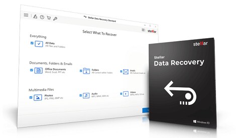 Stellar Data Recovery Professional (PC/Mac) (1 Device, Lifetime) - Stellar Key - GLOBAL