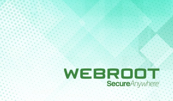 Webroot antivirus 1 pc and window washer bundles reviews