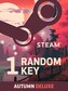 Autumn Random 1 Key Deluxe (PC) - Steam Key - EUROPE