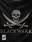 Blackwake Steam Gift EUROPE