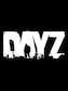 DayZ Steam Key GLOBAL