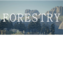 Forestry Steam Gift GLOBAL