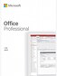 Microsoft Office Professional 2019 (PC) - Microsoft Key - GLOBAL