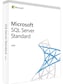 Microsoft SQL Server 2019 Standard (PC) - Microsoft Key - GLOBAL