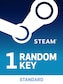 Random 1 Key Steam Key GLOBAL