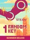Summer Random 1 Key Deluxe (PC) - Steam Key - EUROPE