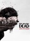 The Walking Dead: The Telltale Definitive Series (PC) - Steam Key - GLOBAL