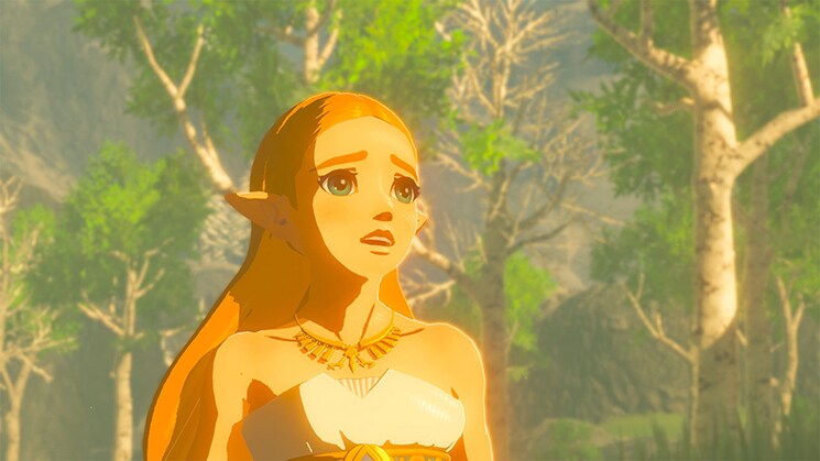 zelda breath of the wild g2a