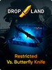 Counter-Strike: Global Offensive RANDOM RESTRICTED VS. BUTTERFLY KNIFE SKIN BY DROPLAND.NET Code GLOBAL