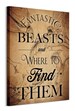 Fantastic Beasts (Beast Drawings)  - obraz na płótnie