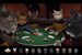 Star Trek Cats Poker - plakat