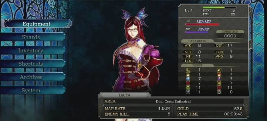 Character menu interface in the game