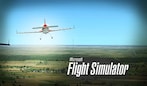Microsoft Flight Simulator X: Steam Edition  (PC) - Steam Gift - GLOBAL