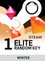Winter Random 1 Key ELITE - Steam Key - GLOBAL