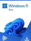 Microsoft Windows 11 Pro