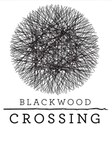Blackwood Crossing (PC) - Steam Cadeau - GLOBAL Steam Gift GLOBAL